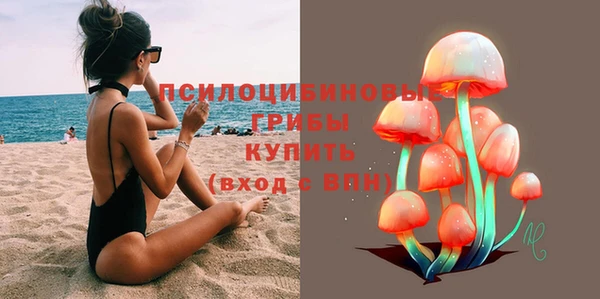 МДПВ Алзамай