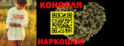 твердый Камышлов