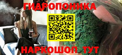 спиды Канаш
