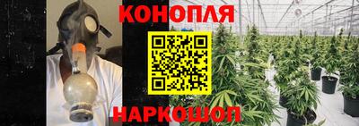 спиды Канаш