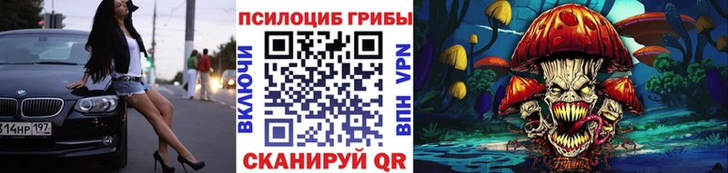 Псилоцибиновые грибы Psilocybe  Лянтор 