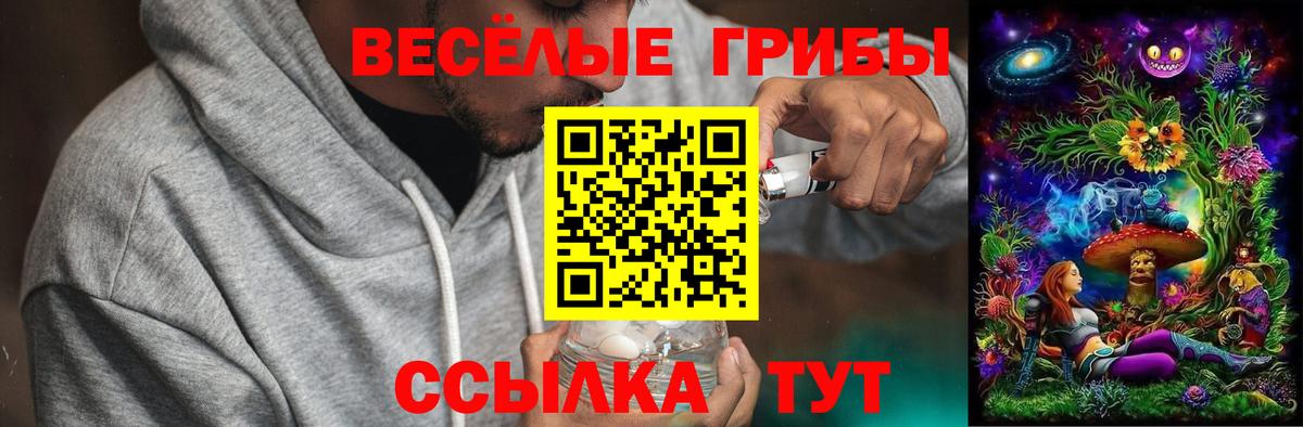 Псилоцибиновые грибы мицелий  Галлюциногенные грибы Psilocybine cubensis  магазин  наркотиков  Вход с VPN  Лянтор 